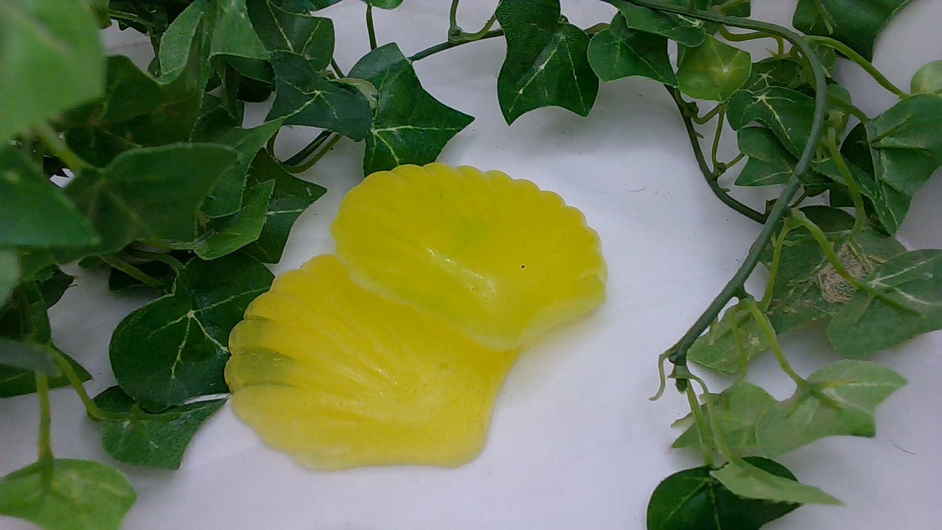 Yellow Jasmine Shell Soap