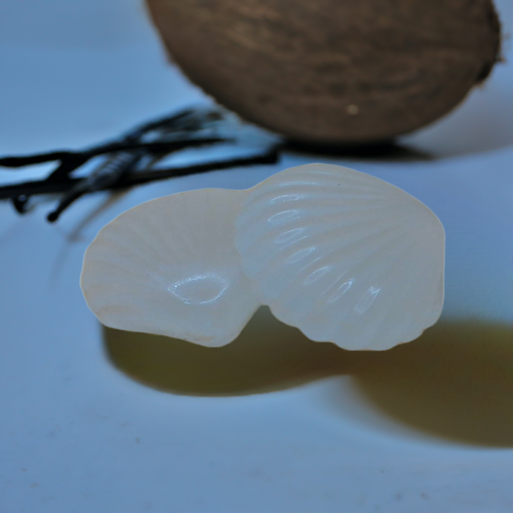 a piece of fruit sitting on top of a white plate