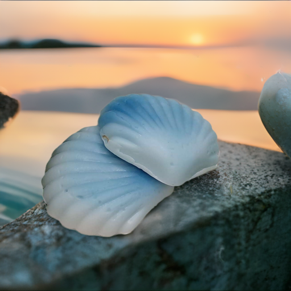 a sea shell sitting on a rock next to a body of water