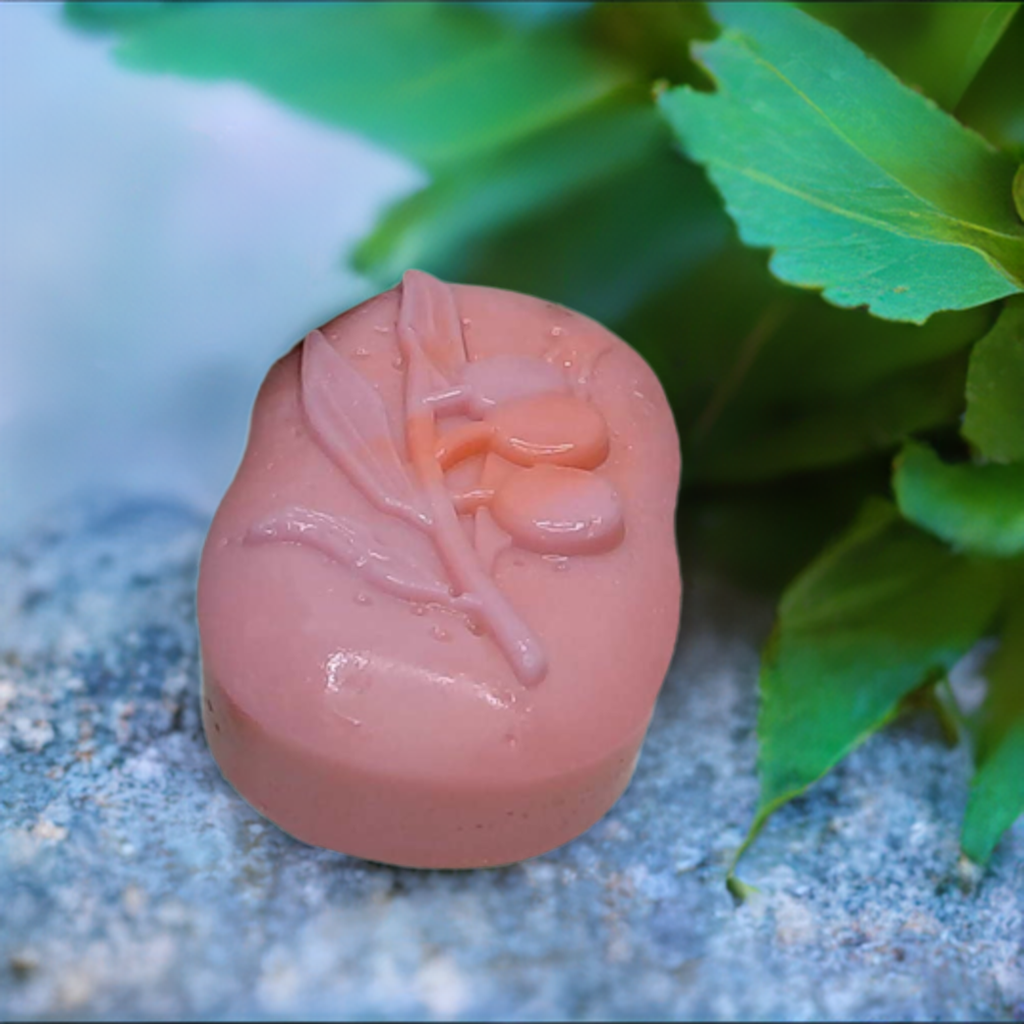 a pink soap sitting on top of a rock next to a plant