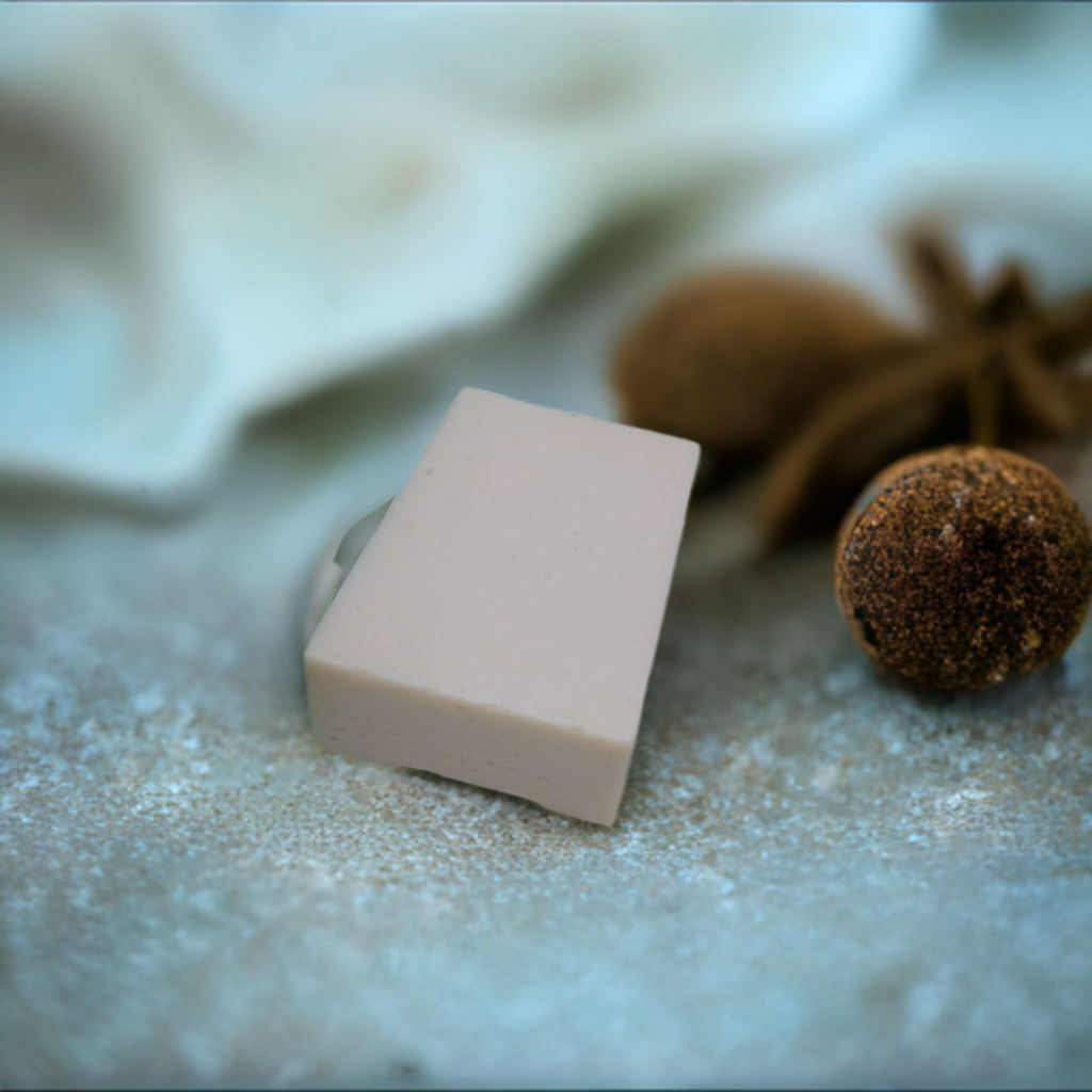 a soap bar sitting next to a pine cone